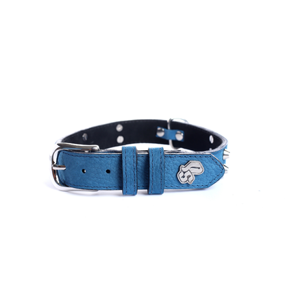 Street Dogs Collar Cuero 3cm Blue Mate
