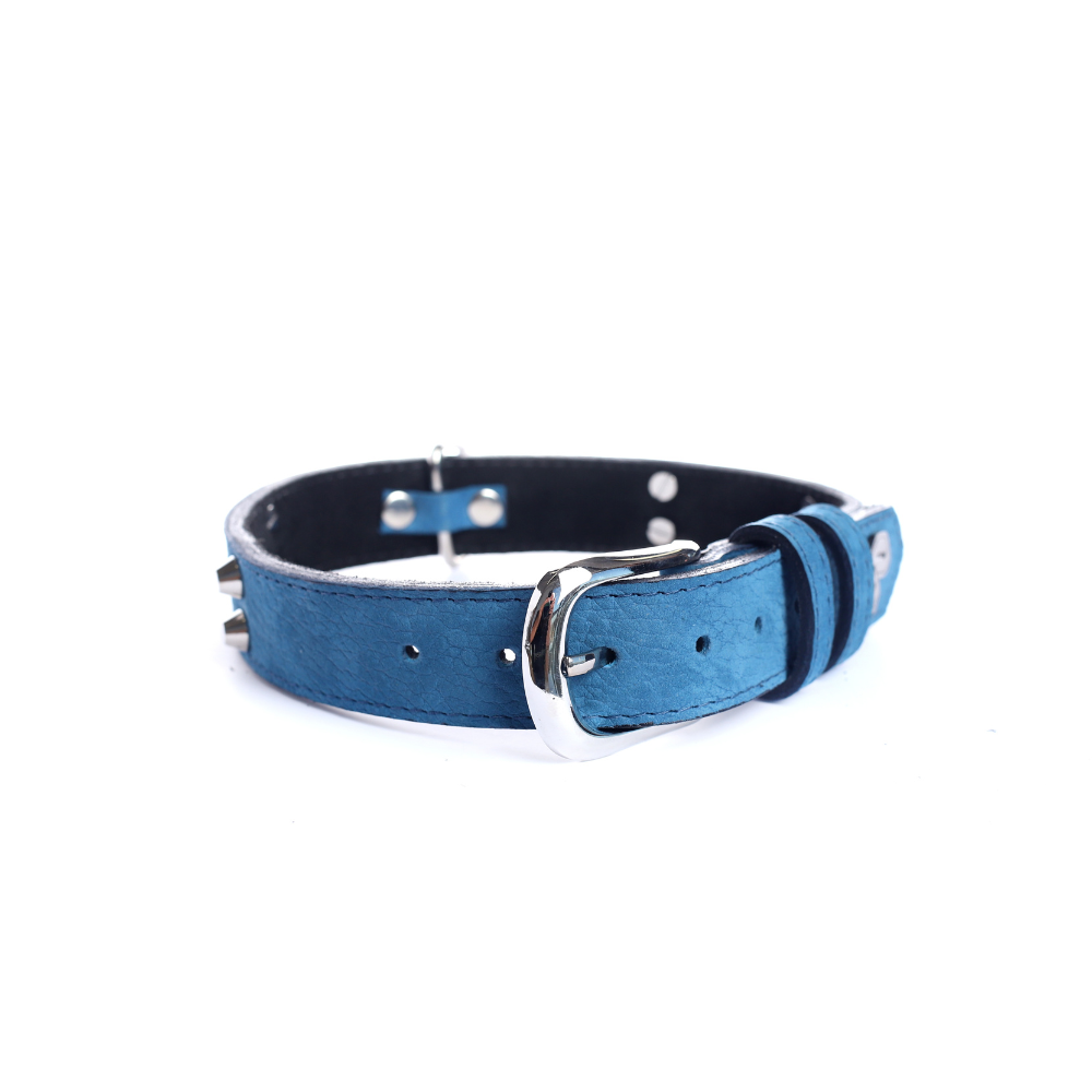 Street Dogs Collar Cuero 3cm Blue Mate