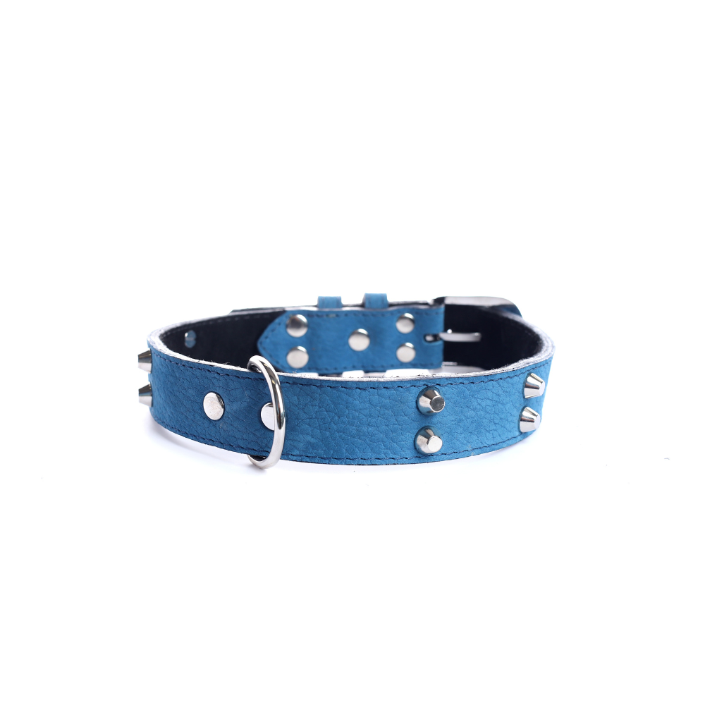 Street Dogs Collar Cuero 3cm Blue Mate