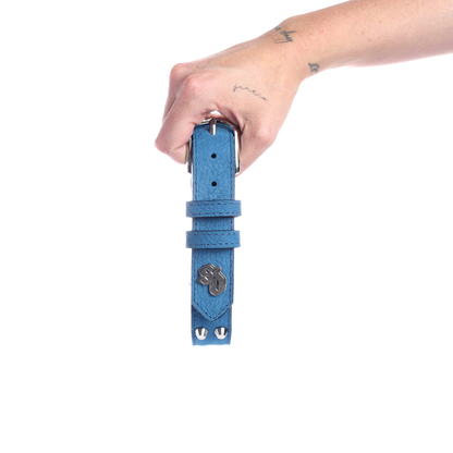 Street Dogs Collar Cuero 3cm Blue Mate
