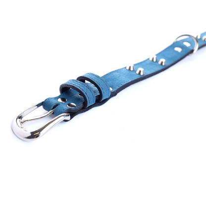 Street Dogs Collar Cuero 3cm Blue Mate