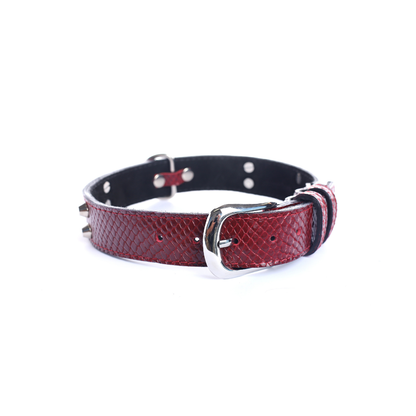 Street Dogs Collar Cuero 3cm Dark Red
