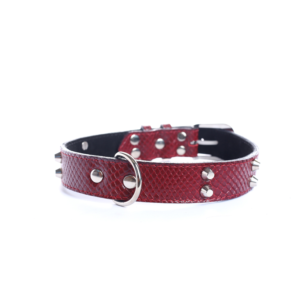 Street Dogs Collar Cuero 3cm Dark Red