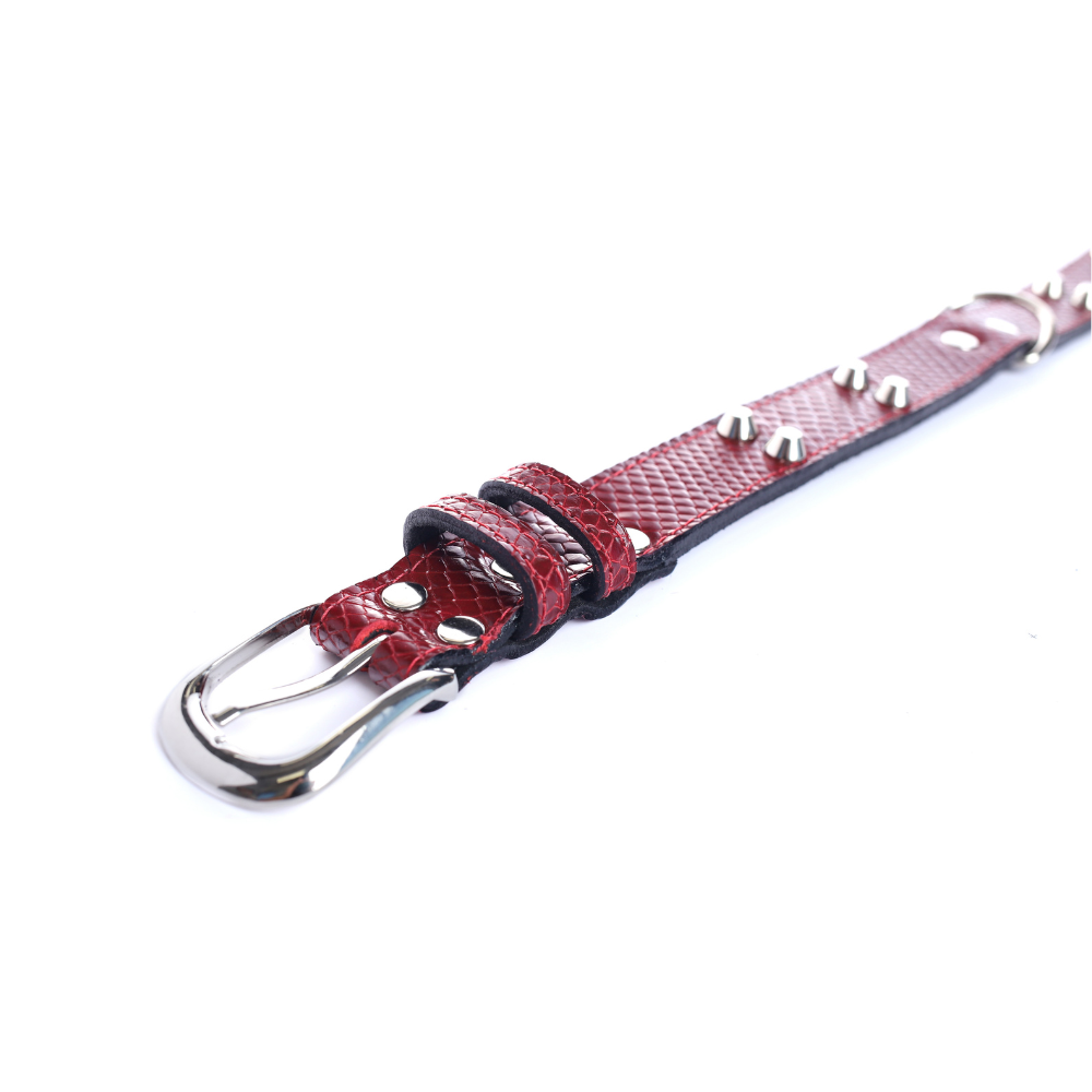 Street Dogs Collar Cuero 3cm Dark Red