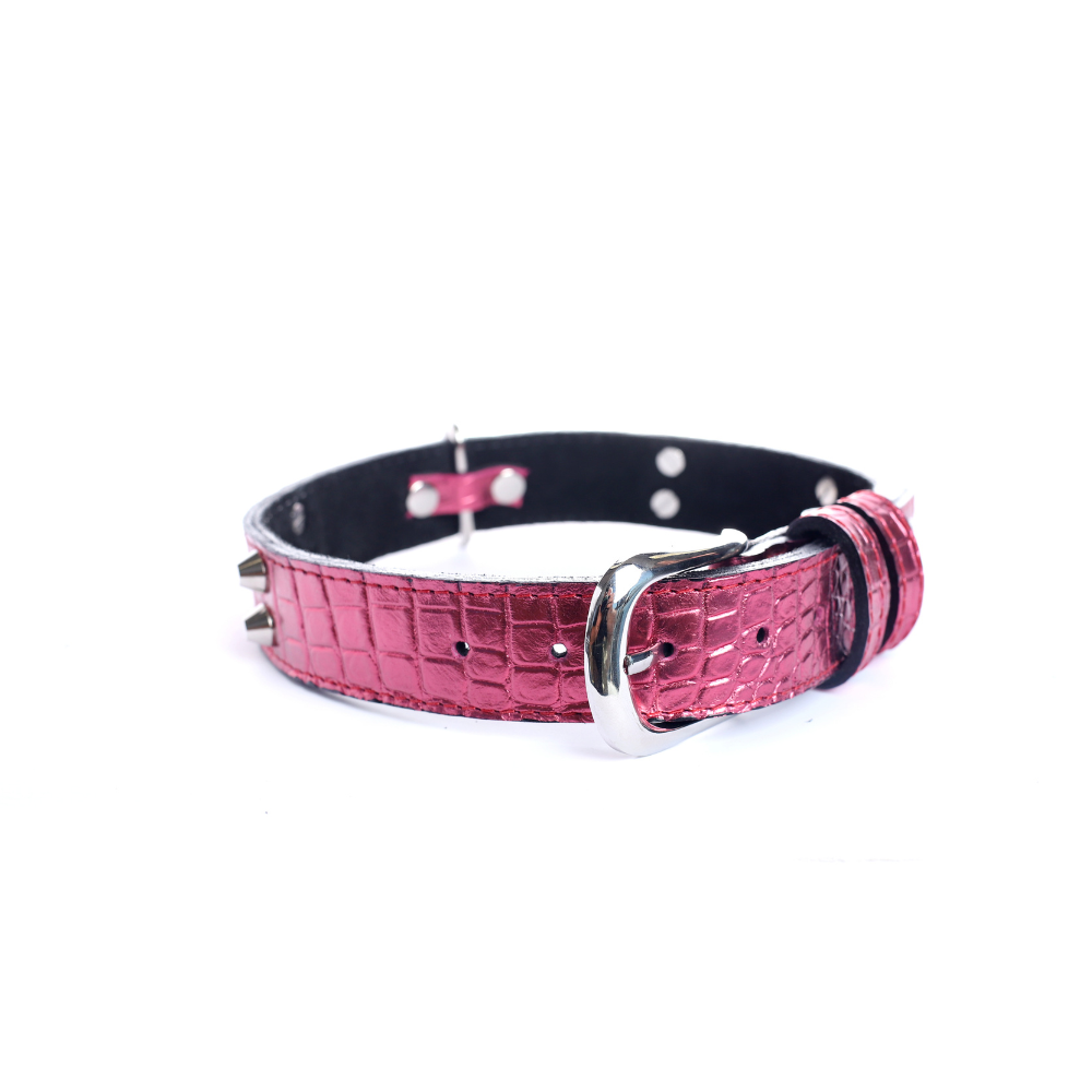 Street Dogs Collar Cuero 3cm Pink