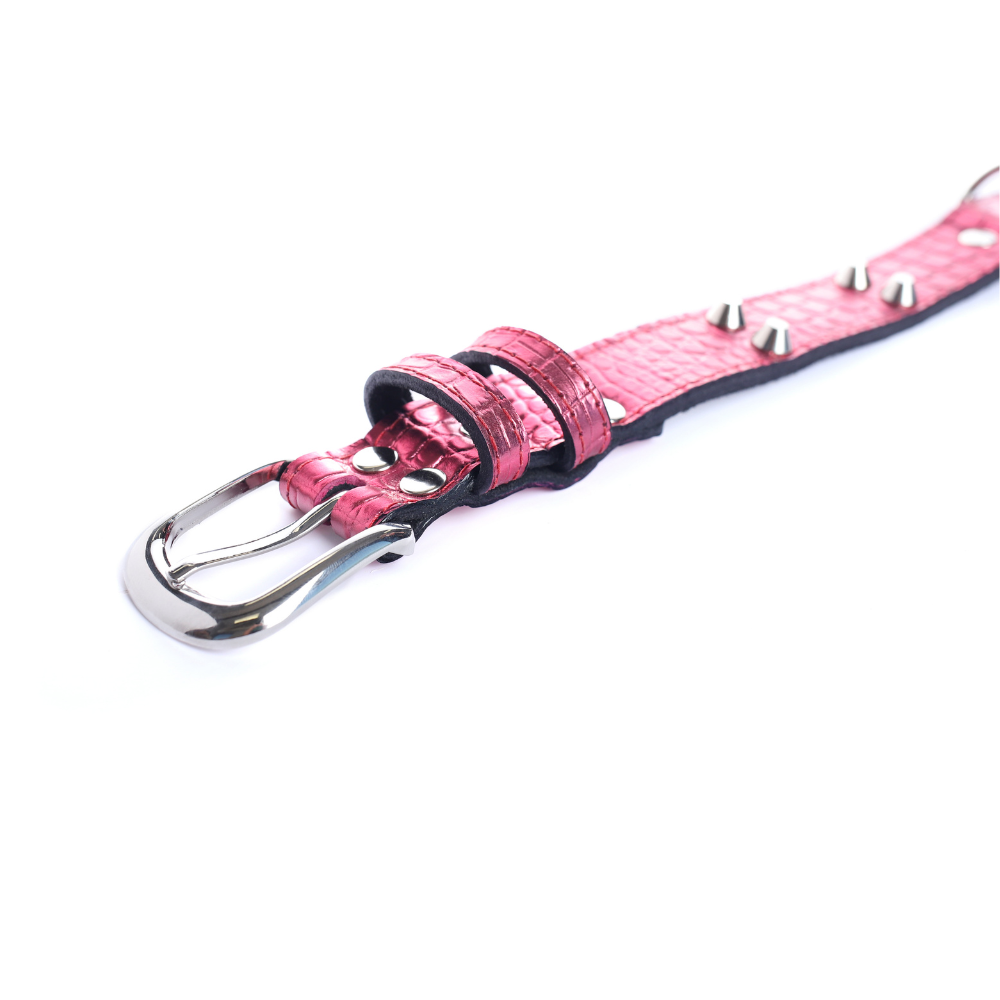 Street Dogs Collar Cuero 3cm Pink