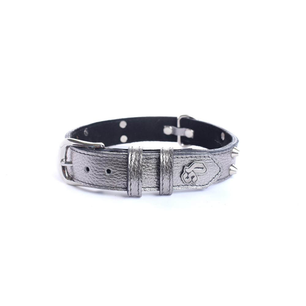 Street Dogs Collar Cuero 3cm Silver
