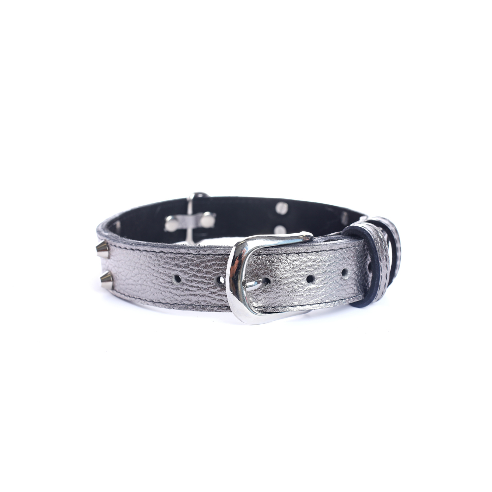 Street Dogs Collar Cuero 3cm Silver
