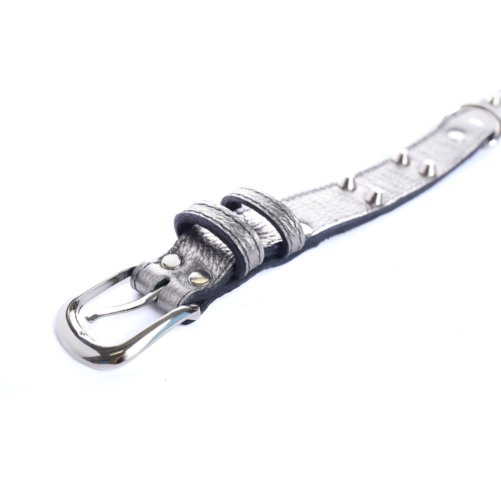 Street Dogs Collar Cuero 3cm Silver