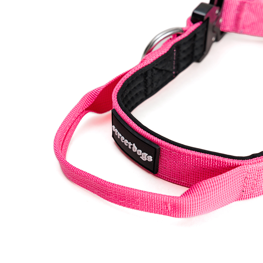 Street Dogs Collar Táctico 2.5cm Pink