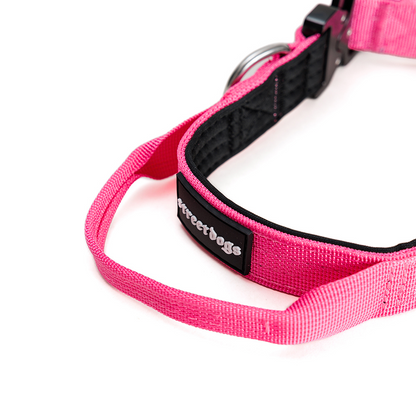 Street Dogs Collar Táctico 2.5cm Pink