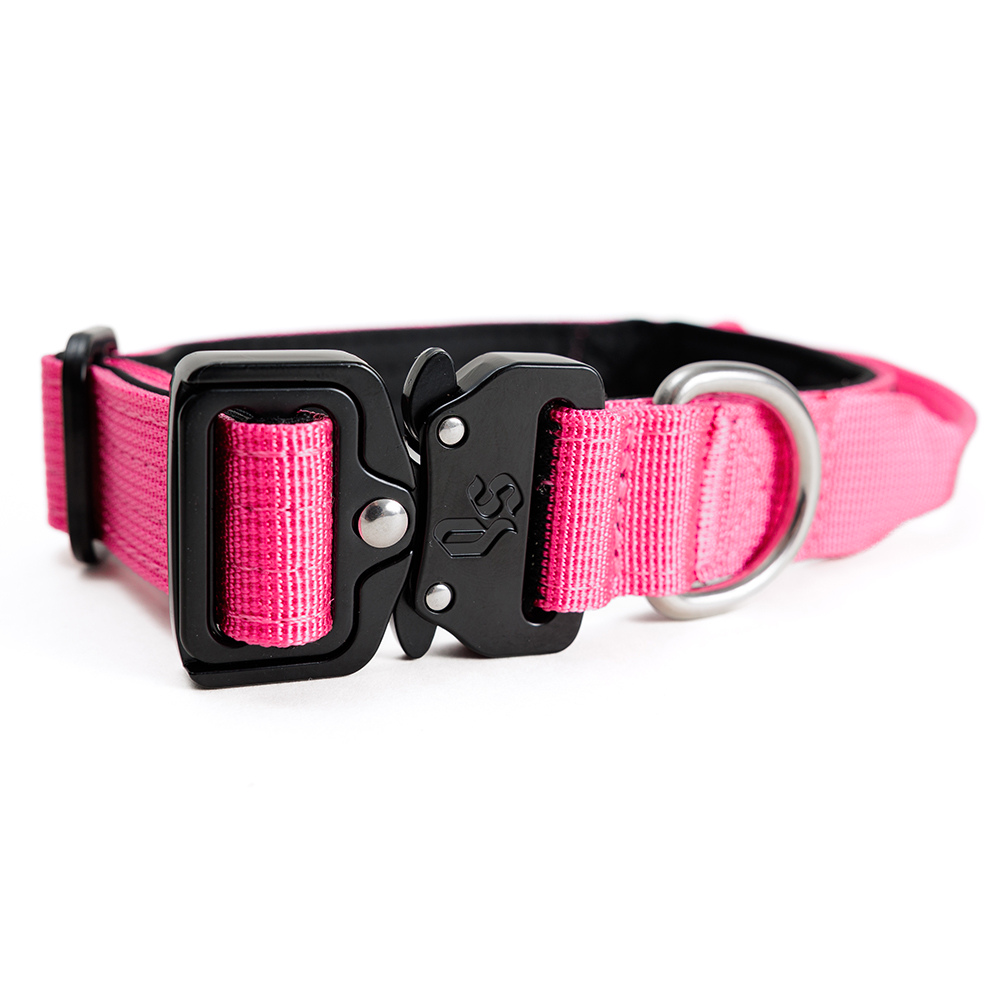 Street Dogs Collar Táctico 2.5cm Pink