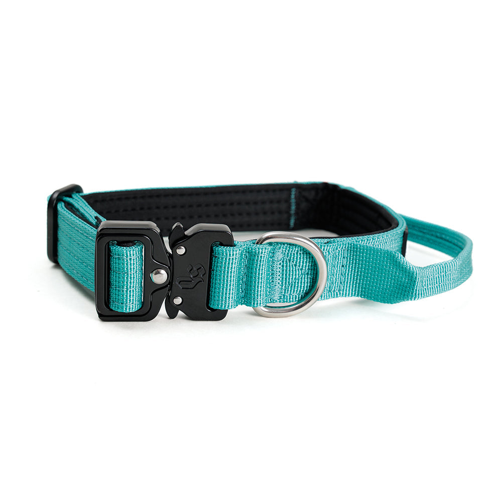 Street Dogs Collar Táctico 2.5cm Turquesa