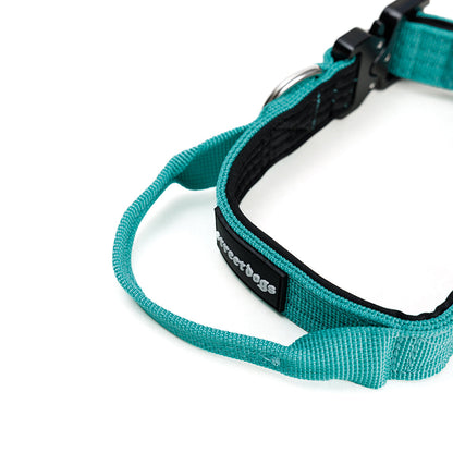 Street Dogs Collar Táctico 2.5cm Turquesa
