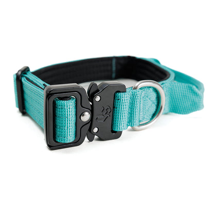 Street Dogs Collar Táctico 2.5cm Turquesa