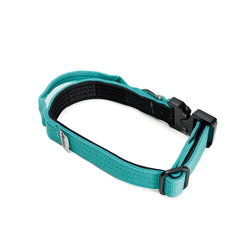Street Dogs Collar Táctico 2.5cm Turquesa