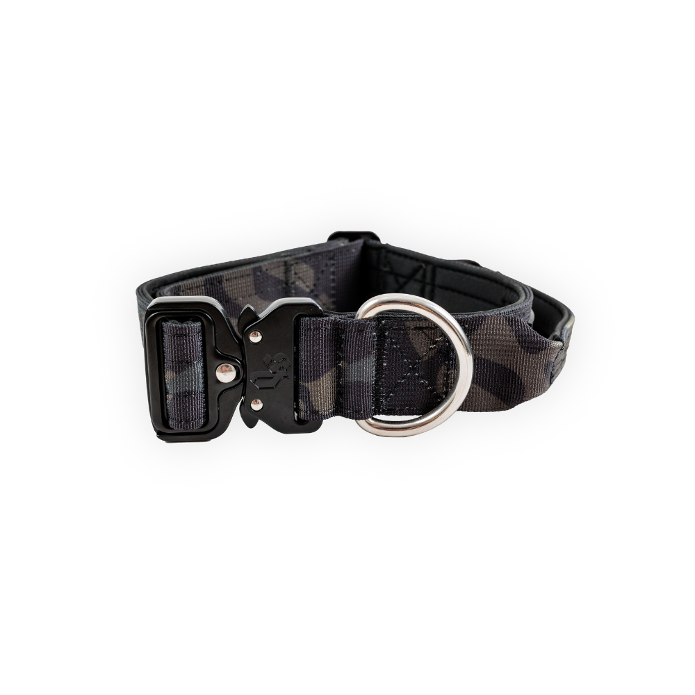 Street Dogs Collar Táctico 4cm Black Camo