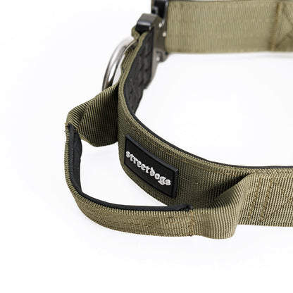 Street Dogs Collar Táctico 4cm Khaki