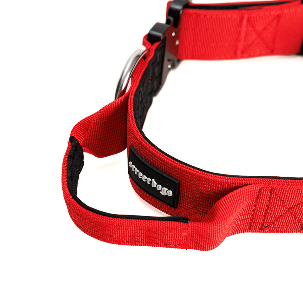 Street Dogs Collar Táctico 4cm Red