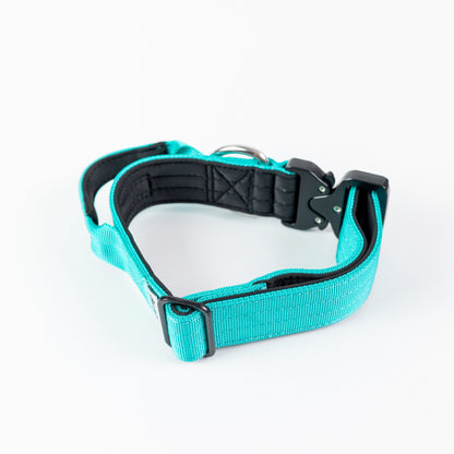 Street Dogs Collar Táctico 4cm Turquesa