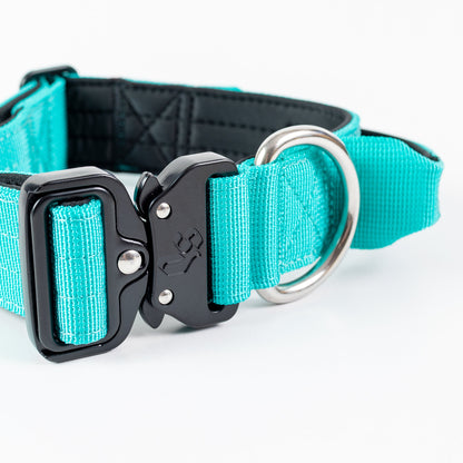 Street Dogs Collar Táctico 4cm Turquesa