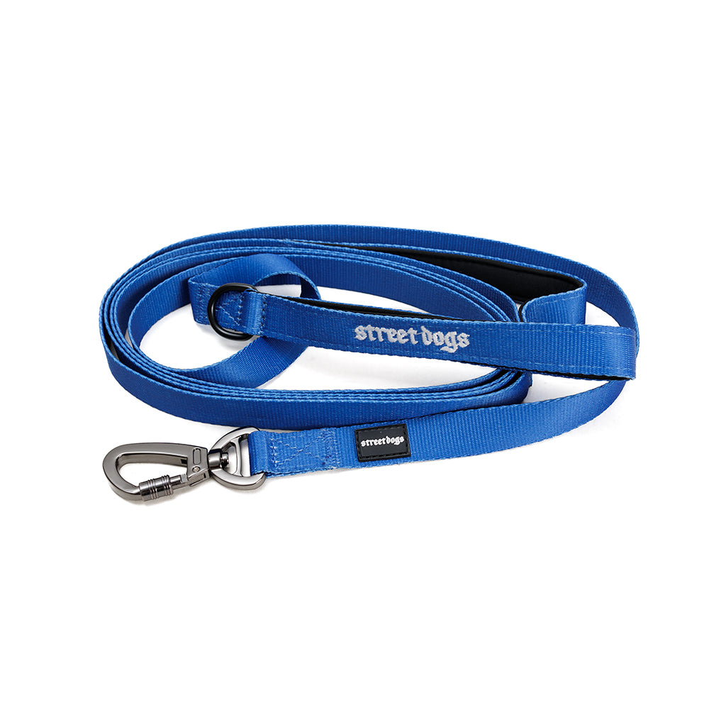 Street Dogs Correa Adiestramiento 3m Blue