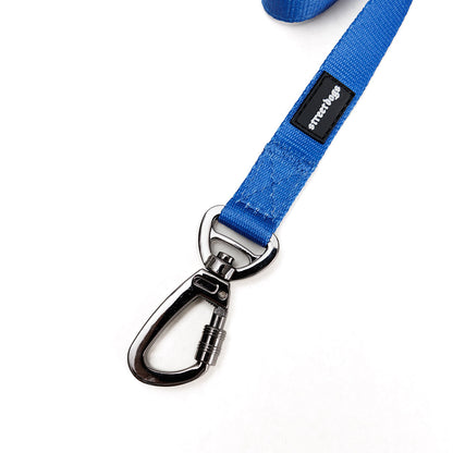 Street Dogs Correa Adiestramiento 3m Blue