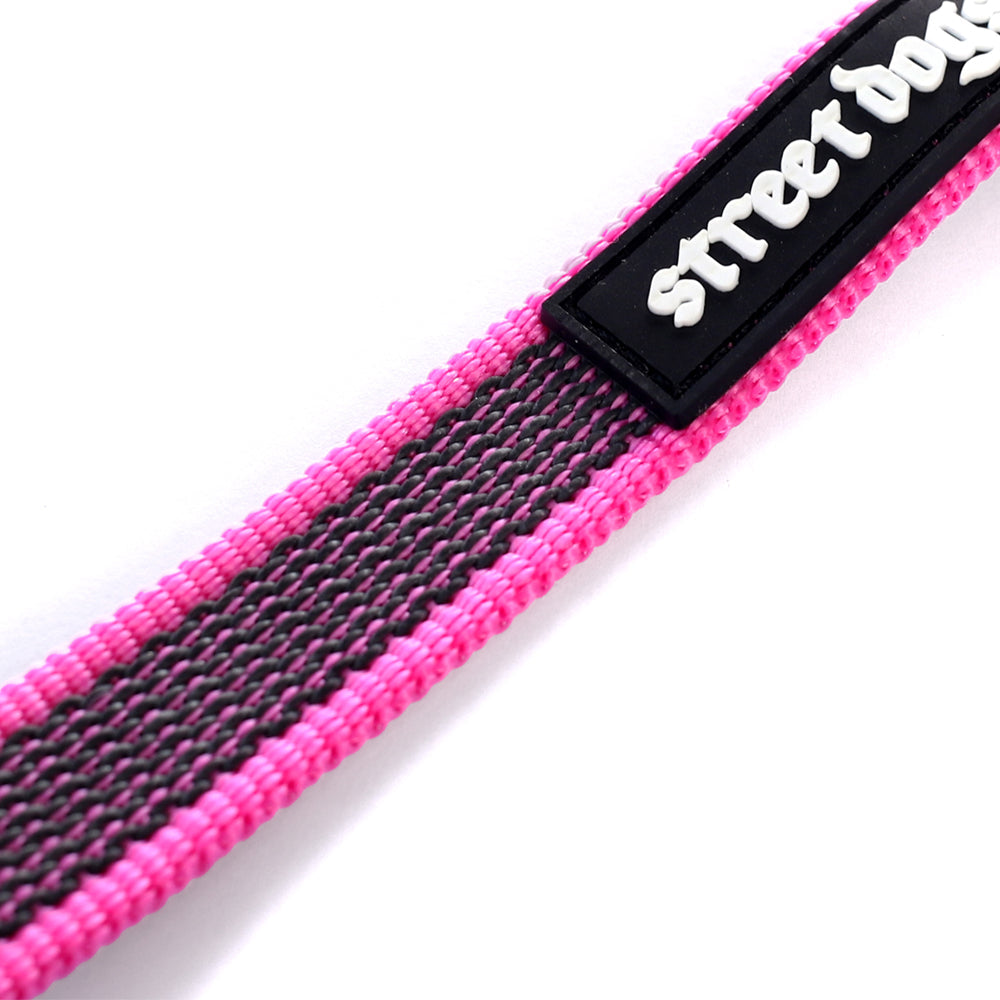 Street Dogs Correa Latex Antiquemaduras 5m Pink
