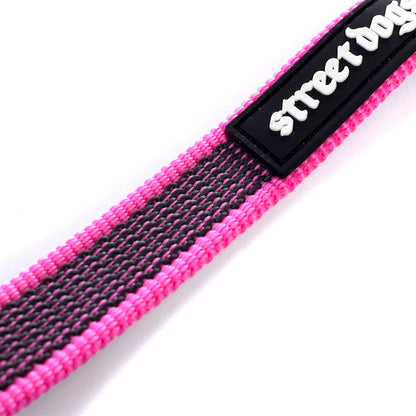 Street Dogs Correa Latex Antiquemaduras 5m Pink