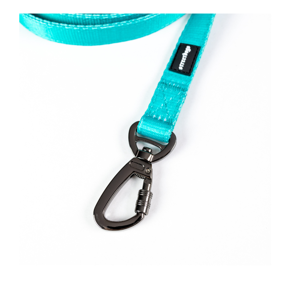 Street Dogs Correa Light Turquesa 10m