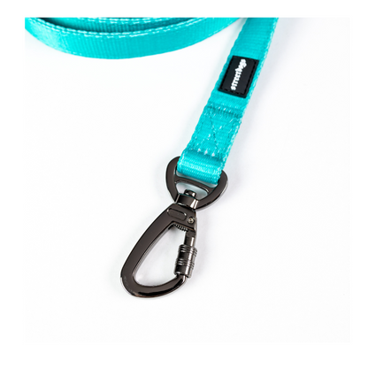Street Dogs Correa Light Turquesa 10m
