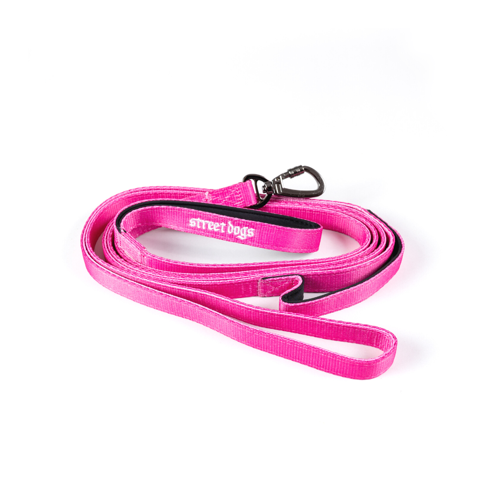 Street Dogs Correa Light Pink 3m