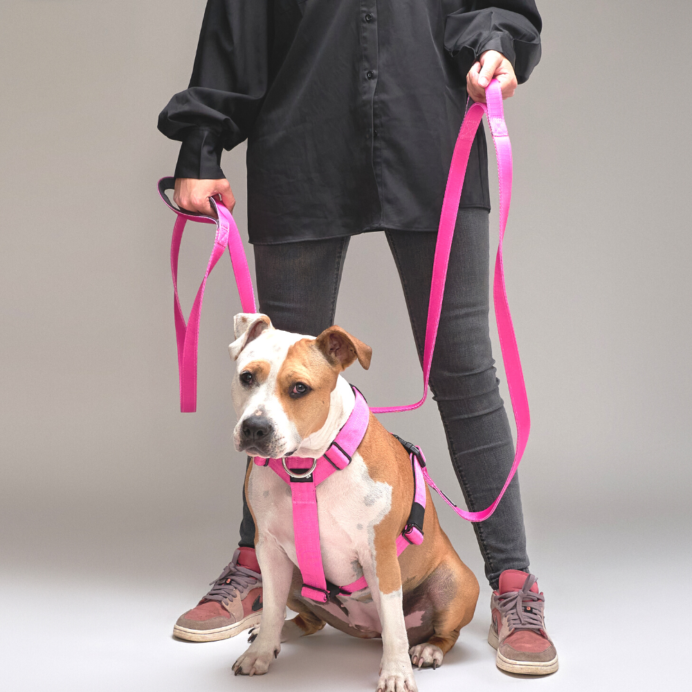 Street Dogs Correa Light Pink 5m