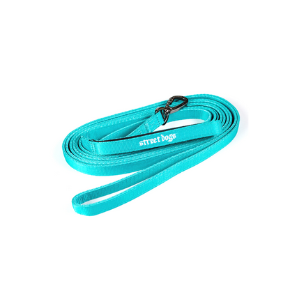 Street Dogs Correa Light Turquesa 5m