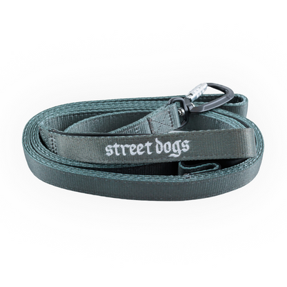 Street Dogs Correa Mosquetón Automático Grey 3m
