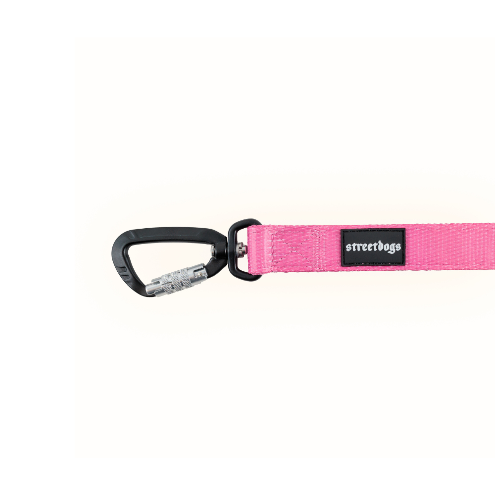 Street Dogs Correa Mosquetón Automático Pink 3m