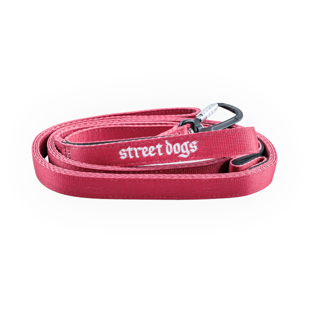 Street Dogs Correa Mosquetón Automático Red 3m