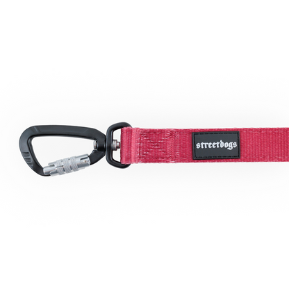Street Dogs Correa Mosquetón Automático Red 3m