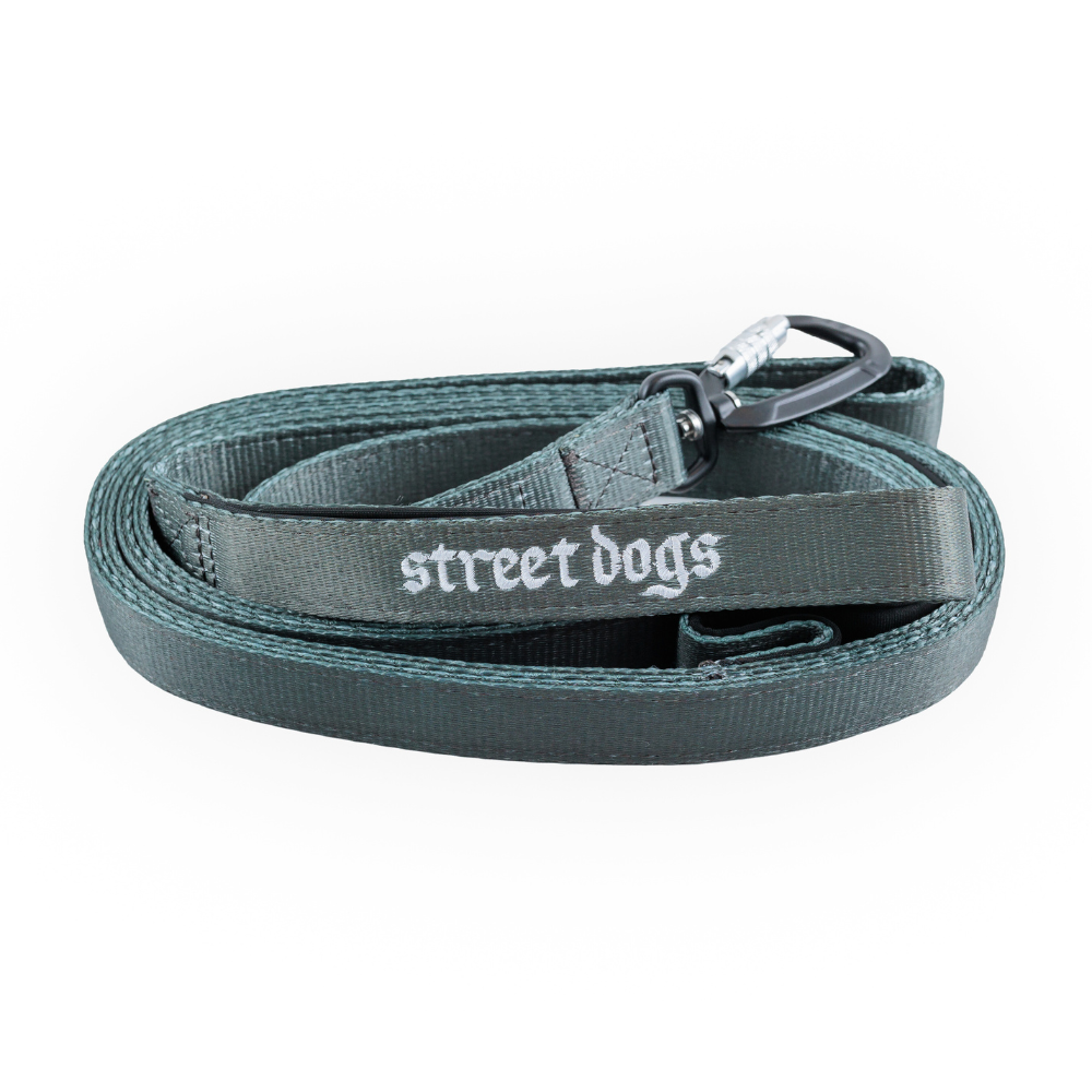 Street Dogs Correa Mosquetón Automático Grey 5m