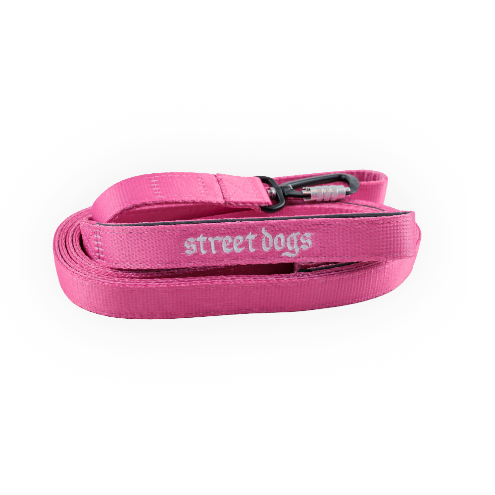 Street Dogs Correa Mosquetón Automático Pink 5m