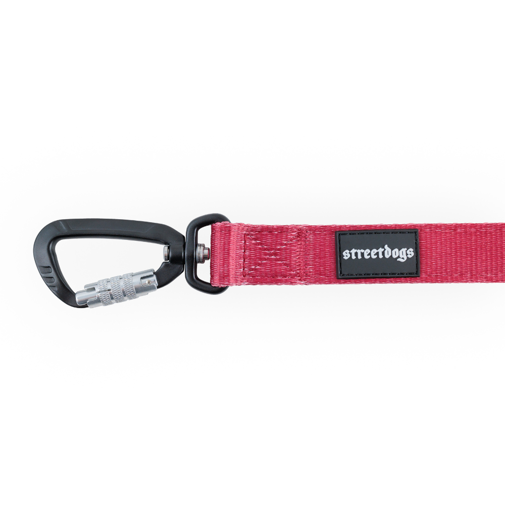 Street Dogs Correa Mosquetón Automático Red 5m