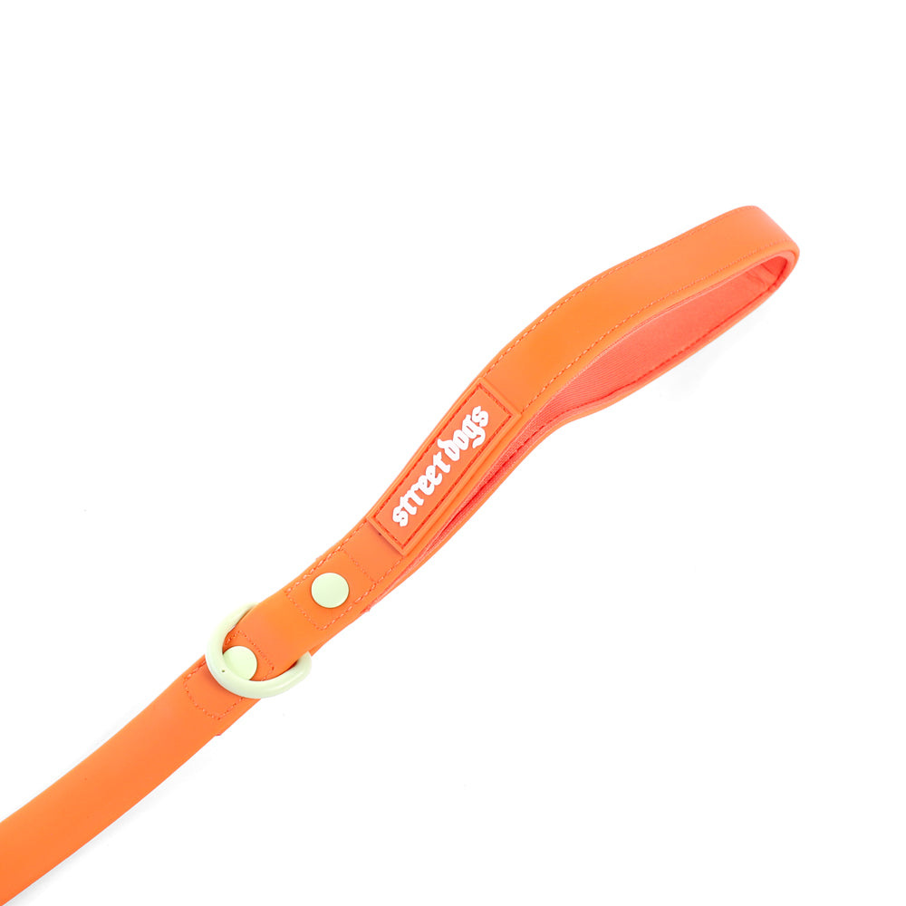 Street Dogs Correa PVC Orange