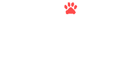 Raily